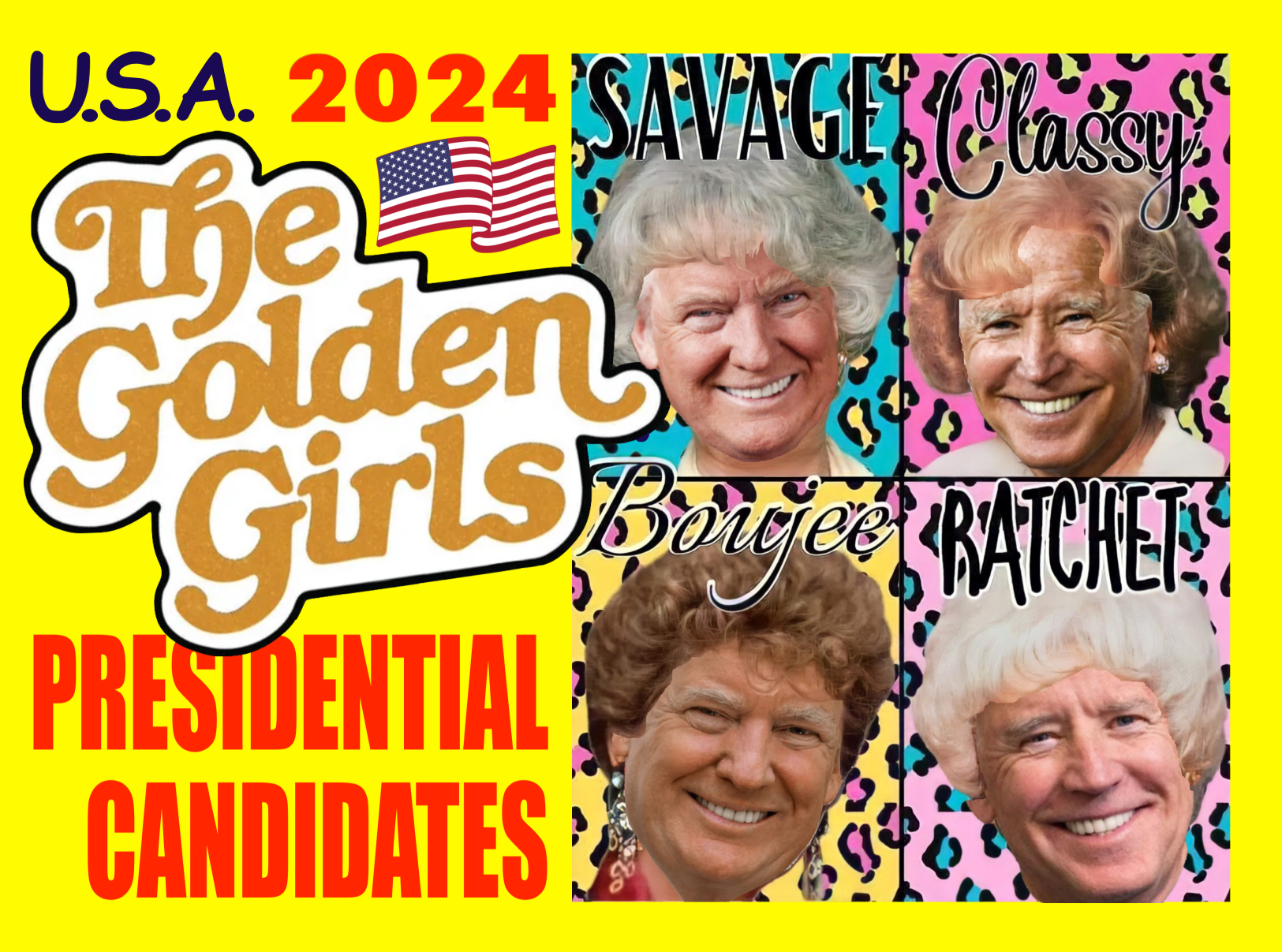 Golden Girls Biden Trump Vote Presidential Election 2024 Meme Blank Meme Template