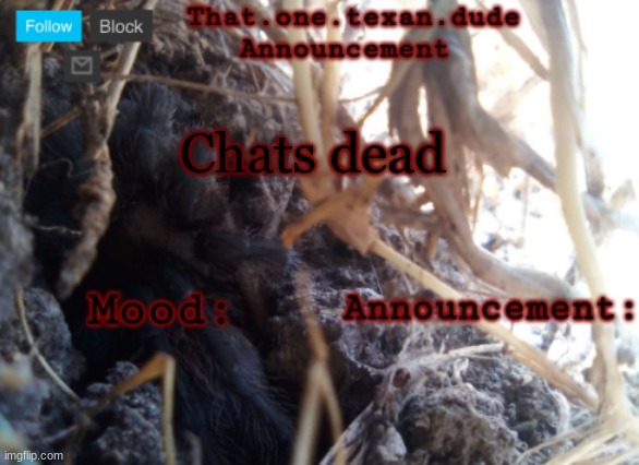THE that.one.texan.dude announcement template | Chats dead | image tagged in the that one texan dude announcement template | made w/ Imgflip meme maker