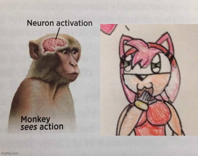 Monkey neuron activation | image tagged in monkey neuron activation | made w/ Imgflip meme maker