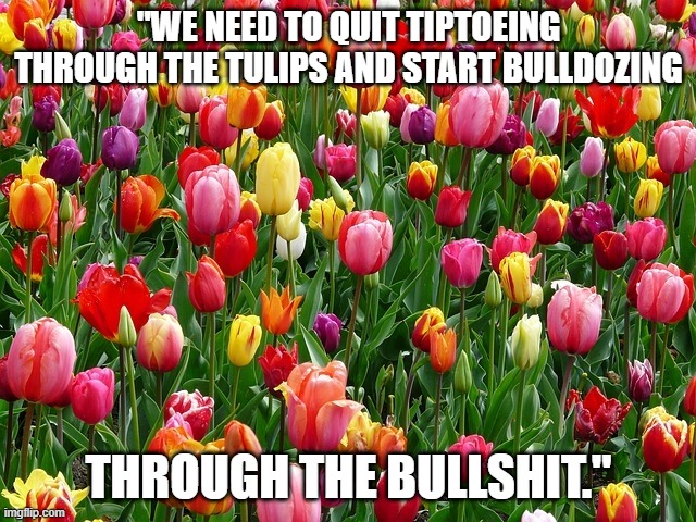 Time to take the gloves off and take the fight to the democrats!! | "WE NEED TO QUIT TIPTOEING THROUGH THE TULIPS AND START BULLDOZING; THROUGH THE BULLSHIT." | image tagged in tulips,government,democrats | made w/ Imgflip meme maker