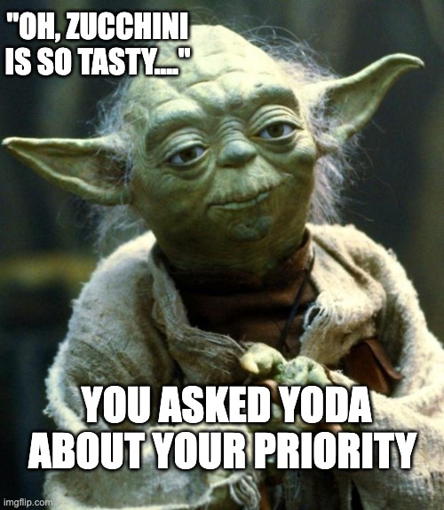 Yoda | "OH, ZUCCHINI IS SO TASTY...."; YOU ASKED YODA ABOUT YOUR PRIORITY | image tagged in memes,star wars yoda | made w/ Imgflip meme maker