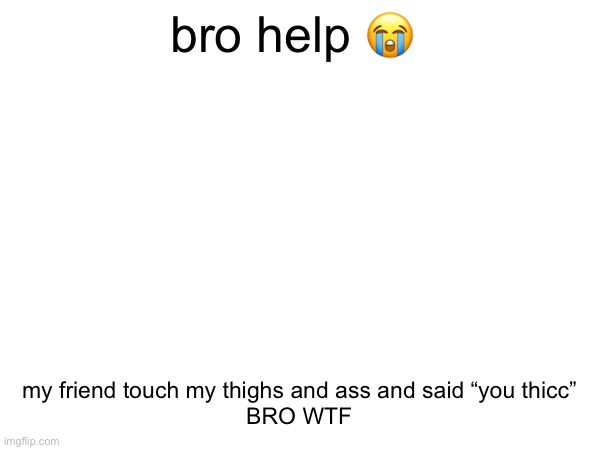 bro help 😭; my friend touch my thighs and ass and said “you thicc”
BRO WTF | made w/ Imgflip meme maker