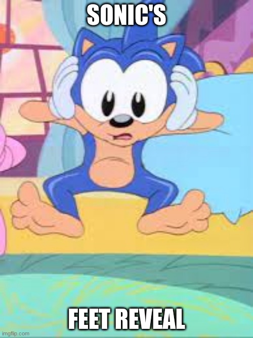Sonic's feet | SONIC'S; FEET REVEAL | image tagged in sonic the hedgehog,adventures of sonic the hedgehog | made w/ Imgflip meme maker