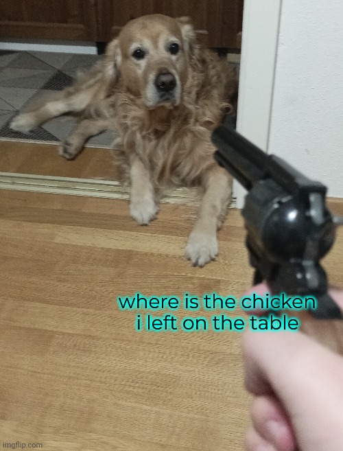 where is the chicken i left on the table | made w/ Imgflip meme maker