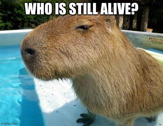 Side Eye Capybara | WHO IS STILL ALIVE? | image tagged in side eye capybara | made w/ Imgflip meme maker