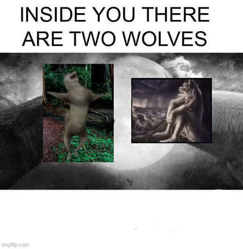 گرگعلی | image tagged in inside you there are two wolves | made w/ Imgflip meme maker