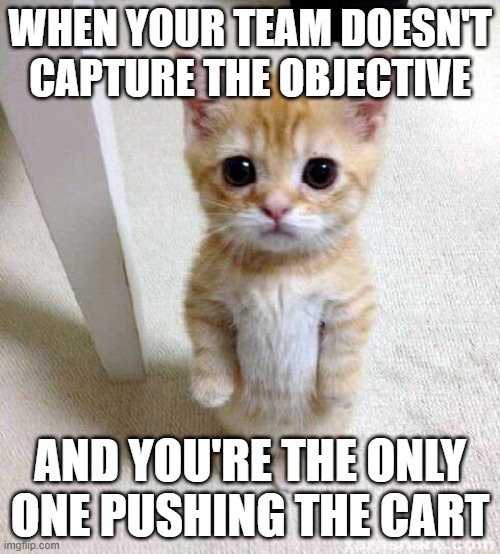 lol | WHEN YOUR TEAM DOESN'T CAPTURE THE OBJECTIVE; AND YOU'RE THE ONLY ONE PUSHING THE CART | image tagged in memes,cute cat,relatable,tf2 | made w/ Imgflip meme maker