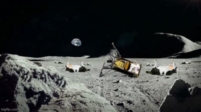 Jumpin' the Moon failures | image tagged in nasa,odysseuy,cow jumped over the moon,cow tipping,intuative machines,6 left feet | made w/ Imgflip meme maker