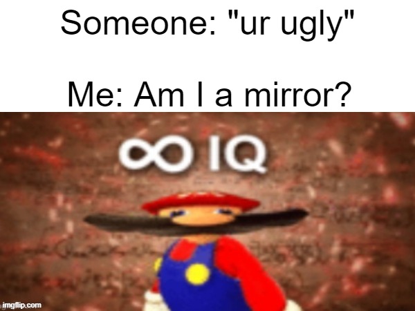 ROAST BACK | Someone: "ur ugly"; Me: Am I a mirror? | image tagged in mario infinite iq | made w/ Imgflip meme maker