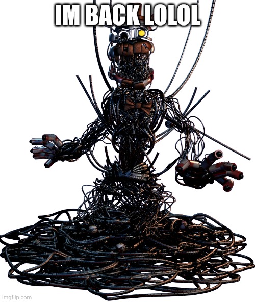 Molten Freddy | IM BACK LOLOL | image tagged in molten freddy | made w/ Imgflip meme maker