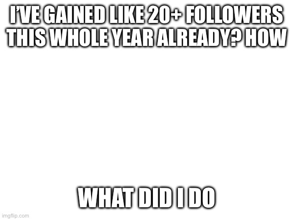 I’VE GAINED LIKE 20+ FOLLOWERS THIS WHOLE YEAR ALREADY? HOW; WHAT DID I DO | made w/ Imgflip meme maker