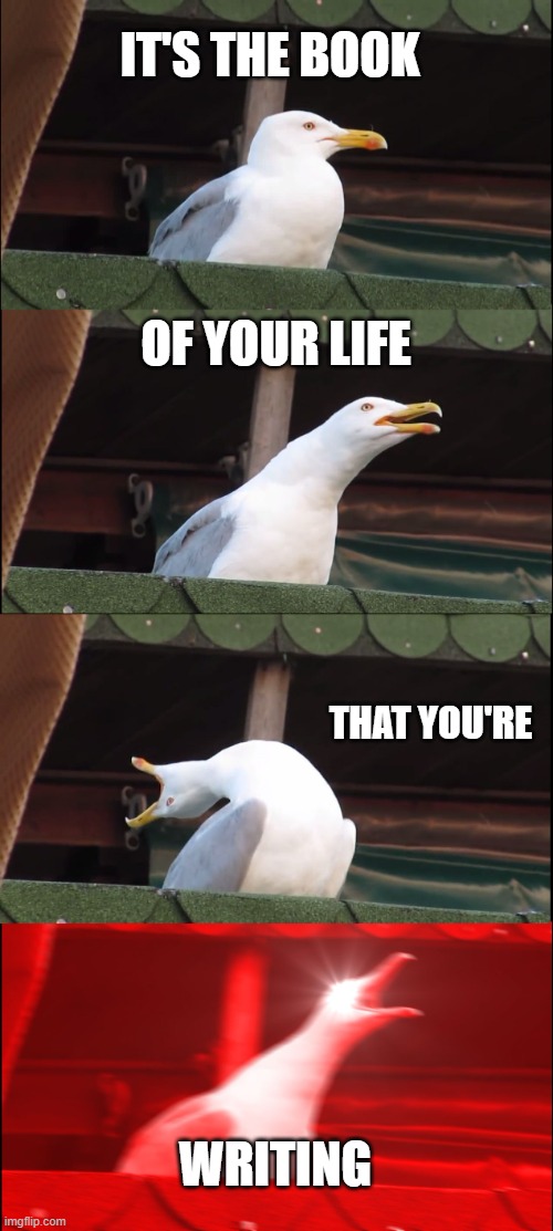 Inhaling Seagull Meme | IT'S THE BOOK OF YOUR LIFE THAT YOU'RE WRITING | image tagged in memes,inhaling seagull | made w/ Imgflip meme maker