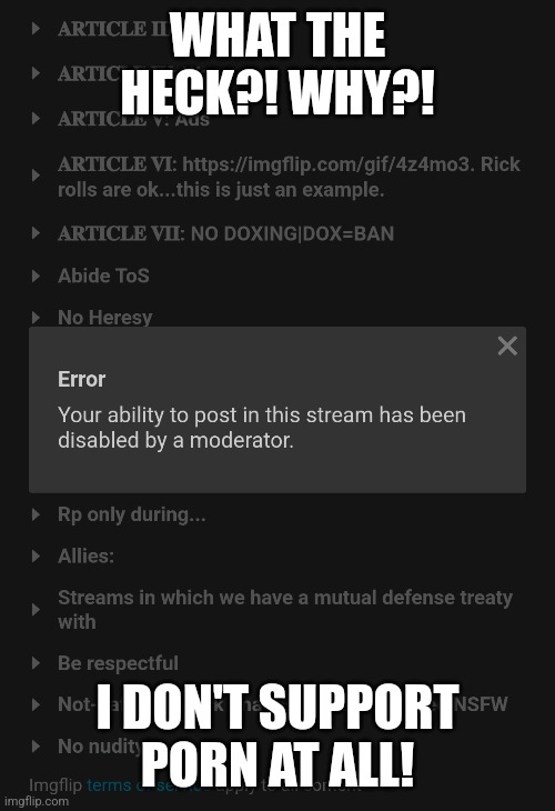 Dear crusader_stream, I am as anti-porn as you are, why am I banned?! | WHAT THE HECK?! WHY?! I DON'T SUPPORT PORN AT ALL! | image tagged in sad | made w/ Imgflip meme maker