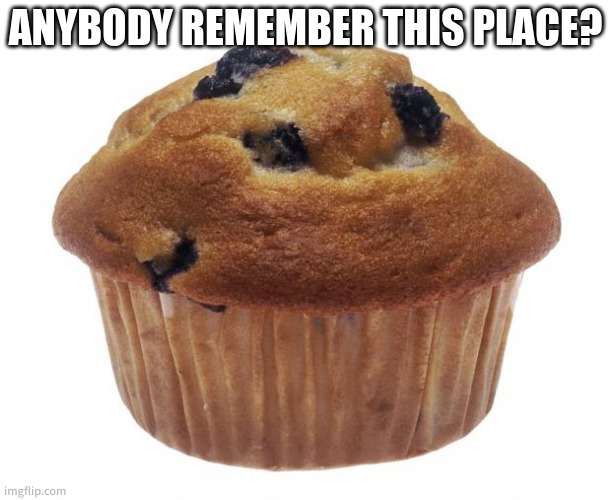 many memories here | ANYBODY REMEMBER THIS PLACE? | image tagged in popular opinion muffin | made w/ Imgflip meme maker