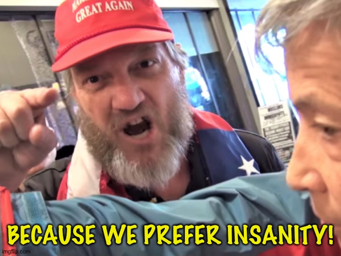 Angry Trump Supporter | BECAUSE WE PREFER INSANITY! | image tagged in angry trump supporter | made w/ Imgflip meme maker