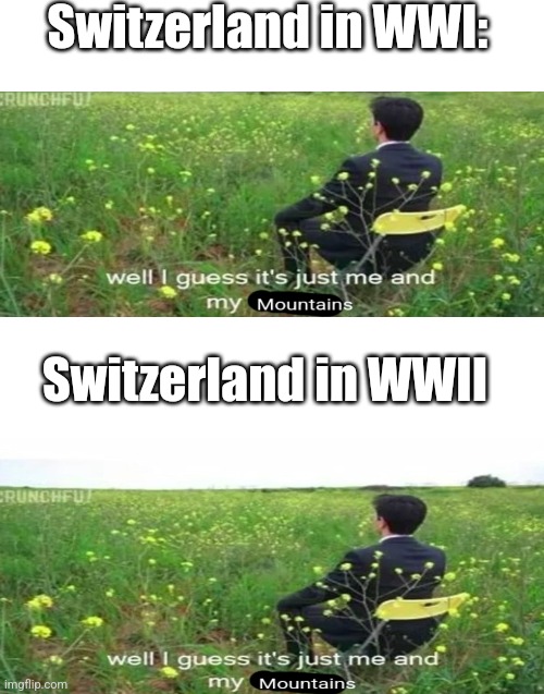 The true neutral | Switzerland in WWI:; Switzerland in WWII | image tagged in switzerland,ww2,ww1,history memes | made w/ Imgflip meme maker