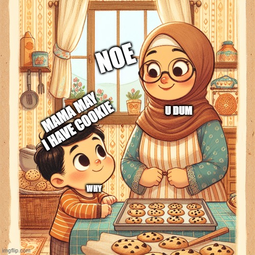 mama may i hv cokie | NOE; U DUM; MAMA MAY I HAVE COOKIE; WHY | image tagged in cookies | made w/ Imgflip meme maker