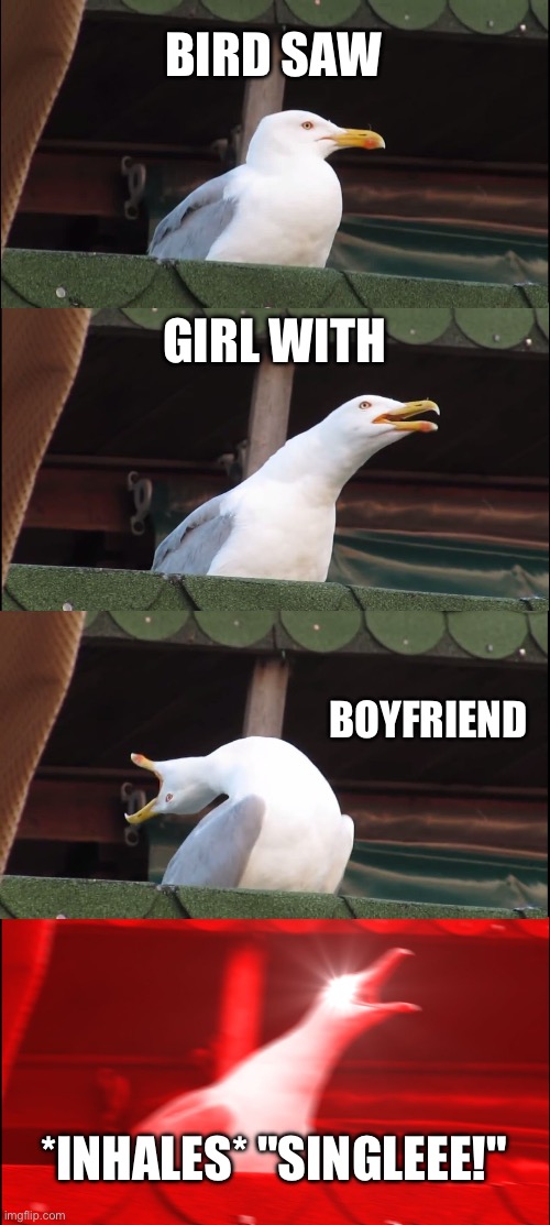 Single is awful | BIRD SAW; GIRL WITH; BOYFRIEND; *INHALES* "SINGLEEE!" | image tagged in memes,inhaling seagull | made w/ Imgflip meme maker