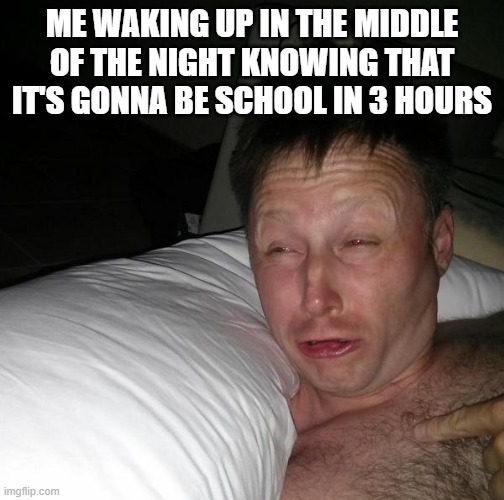 Limmy waking up | ME WAKING UP IN THE MIDDLE OF THE NIGHT KNOWING THAT IT'S GONNA BE SCHOOL IN 3 HOURS | image tagged in limmy waking up,memes,funny,funny memes | made w/ Imgflip meme maker