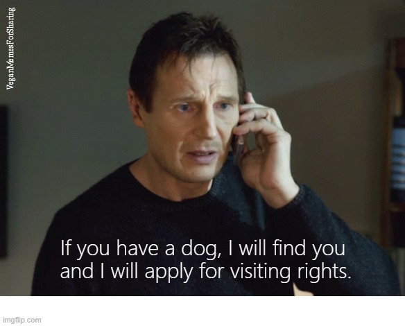 Dogs | image tagged in liam neeson,vegan,dog | made w/ Imgflip meme maker