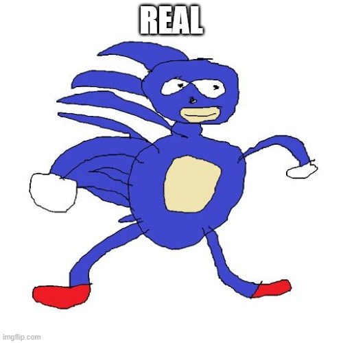 Sanic | REAL | image tagged in sanic | made w/ Imgflip meme maker