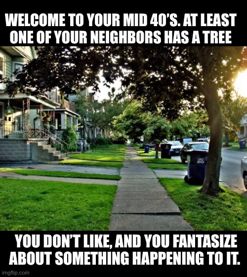 At least one. | WELCOME TO YOUR MID 40’S. AT LEAST
ONE OF YOUR NEIGHBORS HAS A TREE; YOU DON’T LIKE, AND YOU FANTASIZE
ABOUT SOMETHING HAPPENING TO IT. | image tagged in neighbor,tree,fantasy,40s,boomer | made w/ Imgflip meme maker