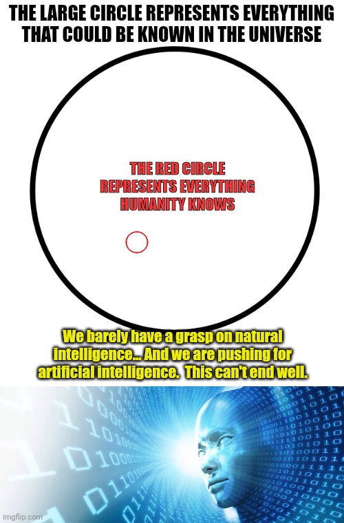 THE LARGE CIRCLE REPRESENTS EVERYTHING THAT COULD BE KNOWN IN THE UNIVERSE; THE RED CIRCLE REPRESENTS EVERYTHING HUMANITY KNOWS; We barely have a grasp on natural intelligence... And we are pushing for artificial intelligence.  This can't end well. | image tagged in blank white template,artificial intelligence | made w/ Imgflip meme maker
