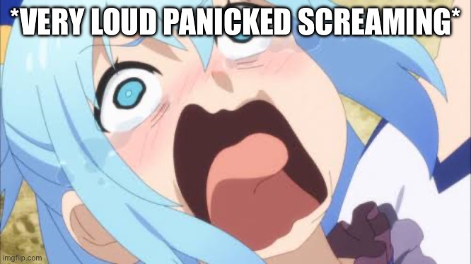 Aqua crying/screaming | *VERY LOUD PANICKED SCREAMING* | image tagged in aqua crying/screaming | made w/ Imgflip meme maker