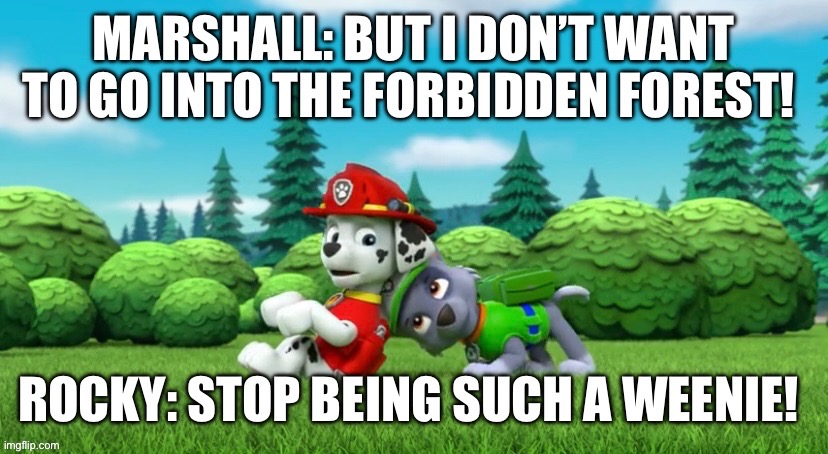 Marshall & Rocky | image tagged in paw patrol,marshall,rocky,harry potter,silly,funny dogs | made w/ Imgflip meme maker