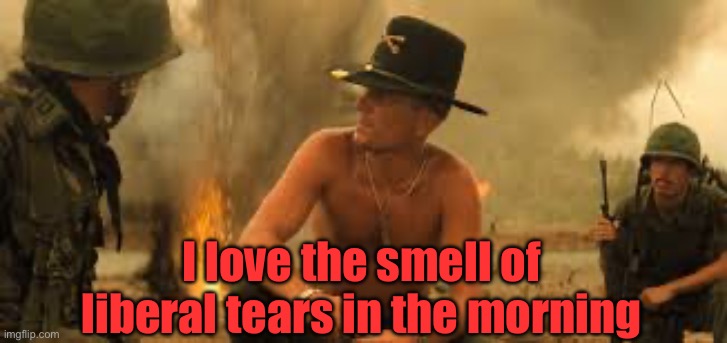 Liberal tears | I love the smell of liberal tears in the morning | image tagged in apocalypse now | made w/ Imgflip meme maker