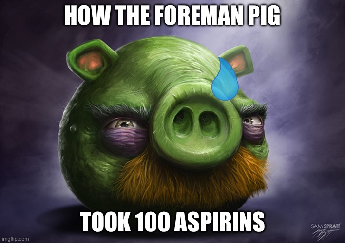 Realistic angry birds | HOW THE FOREMAN PIG; TOOK 100 ASPIRINS | image tagged in realistic angry birds | made w/ Imgflip meme maker