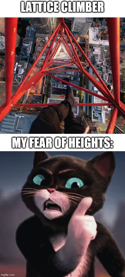 Fear of heights | LATTICE CLIMBER; MY FEAR OF HEIGHTS: | image tagged in lc,puss in boots,lattice climbing,kitty,template,meme | made w/ Imgflip meme maker