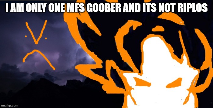 LowTeirGoob | I AM ONLY ONE MFS GOOBER AND ITS NOT RIPLOS | image tagged in lowteirgoob | made w/ Imgflip meme maker