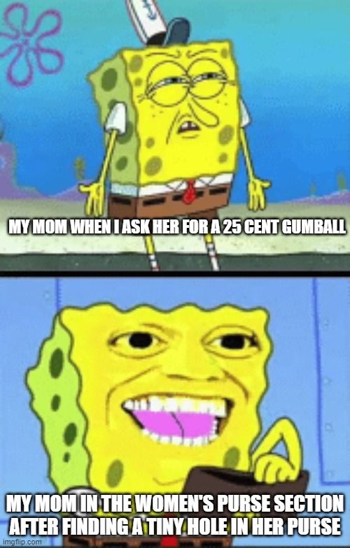 i will take your entire stock | MY MOM WHEN I ASK HER FOR A 25 CENT GUMBALL; MY MOM IN THE WOMEN'S PURSE SECTION AFTER FINDING A TINY HOLE IN HER PURSE | image tagged in spongebob money | made w/ Imgflip meme maker
