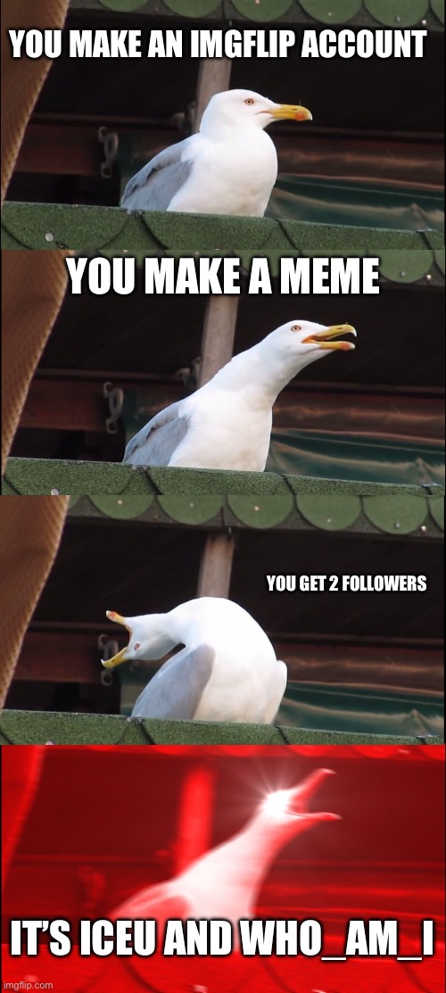 Crazy bro | YOU MAKE AN IMGFLIP ACCOUNT; YOU MAKE A MEME; YOU GET 2 FOLLOWERS; IT’S ICEU AND WHO_AM_I | image tagged in memes,inhaling seagull,oh wow are you actually reading these tags | made w/ Imgflip meme maker