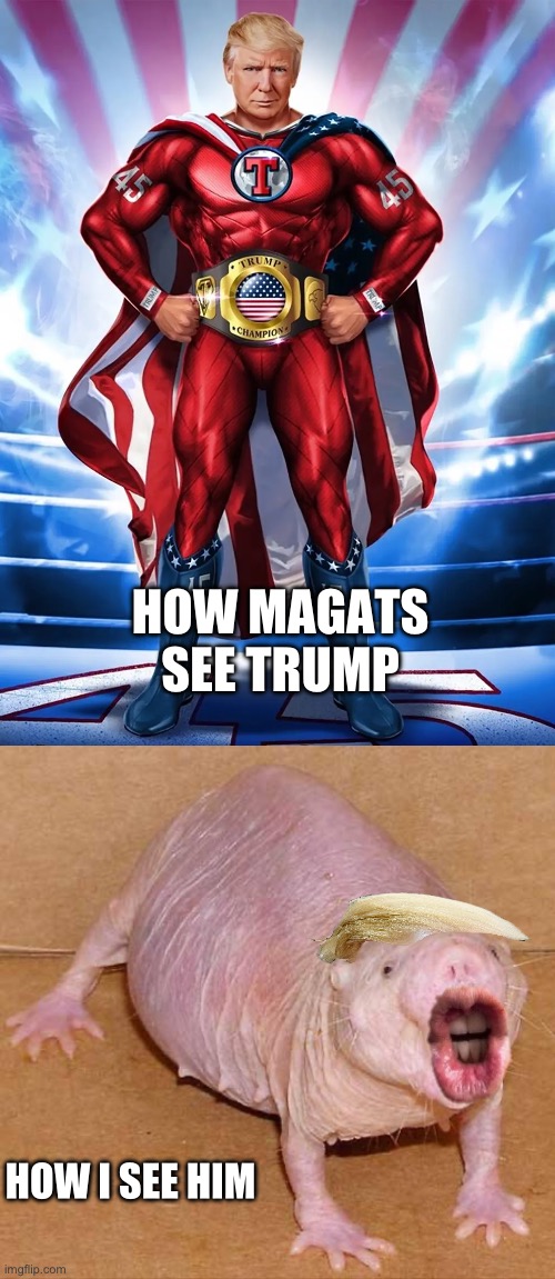 HOW MAGATS SEE TRUMP; HOW I SEE HIM | image tagged in trump nft superhero,naked mole rat | made w/ Imgflip meme maker