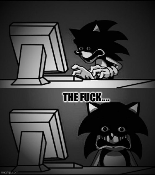 Sonic Computer | THE FUCK…. | image tagged in sonic computer | made w/ Imgflip meme maker