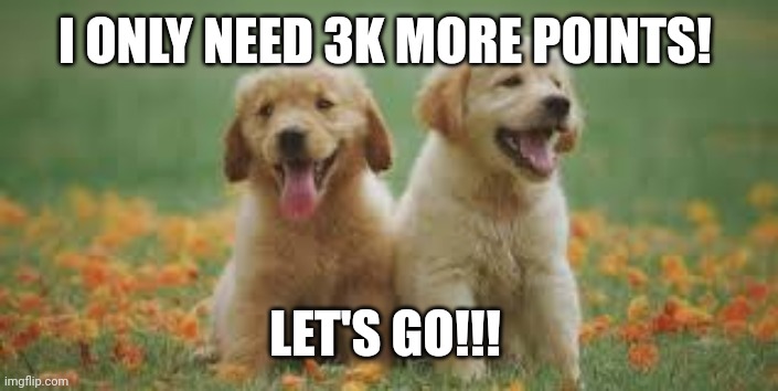 doggy | I ONLY NEED 3K MORE POINTS! LET'S GO!!! | image tagged in doggy | made w/ Imgflip meme maker