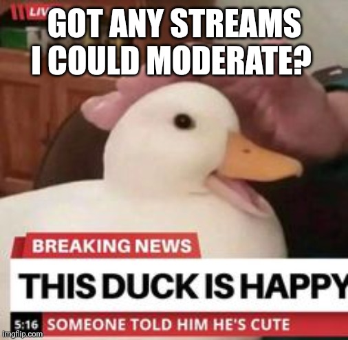 happy duck | GOT ANY STREAMS I COULD MODERATE? | image tagged in happy duck | made w/ Imgflip meme maker