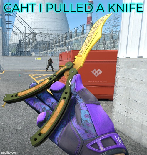 CAHT I PULLED A KNIFE; hehe, no tf i didnt, this is an inspect server. would be cool tho | made w/ Imgflip meme maker