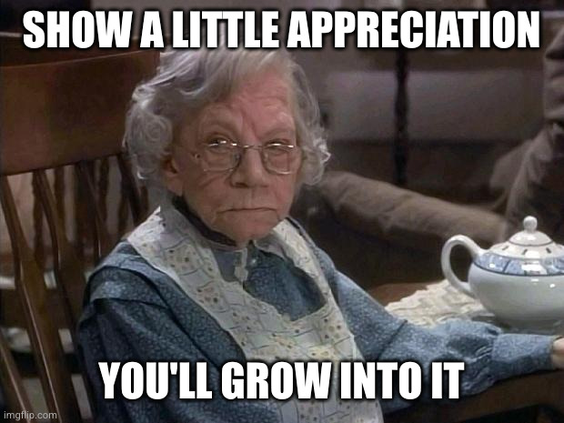 angry grandma | SHOW A LITTLE APPRECIATION YOU'LL GROW INTO IT | image tagged in angry grandma | made w/ Imgflip meme maker