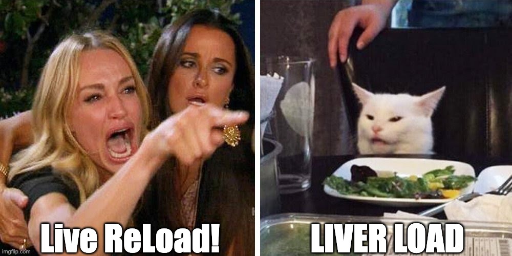 Liver Load? Or LiveReload... | Live ReLoad! LIVER LOAD | image tagged in smudge the cat,coding,javascript,software | made w/ Imgflip meme maker