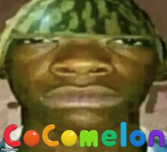 Watermelon Hat | image tagged in watermelon hat | made w/ Imgflip meme maker