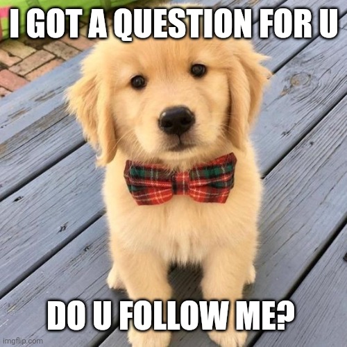 hello | I GOT A QUESTION FOR U; DO U FOLLOW ME? | image tagged in hello | made w/ Imgflip meme maker