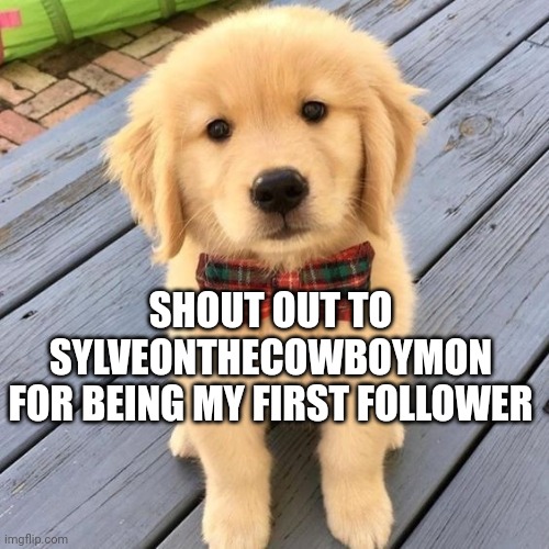 Go follow him if u don't already | SHOUT OUT TO
SYLVEONTHECOWBOYMON
FOR BEING MY FIRST FOLLOWER | image tagged in hello | made w/ Imgflip meme maker