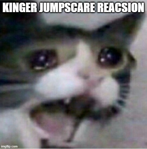 crying cat | KINGER JUMPSCARE REACSION | image tagged in crying cat | made w/ Imgflip meme maker