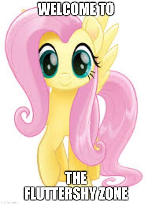 Fluttershy hugs anyone? | WELCOME TO; THE FLUTTERSHY ZONE | image tagged in mlp,fluttershy | made w/ Imgflip meme maker