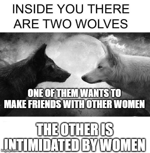This one is for the women who feel the same way | ONE OF THEM WANTS TO MAKE FRIENDS WITH OTHER WOMEN; THE OTHER IS INTIMIDATED BY WOMEN | image tagged in inside you there are two wolves | made w/ Imgflip meme maker