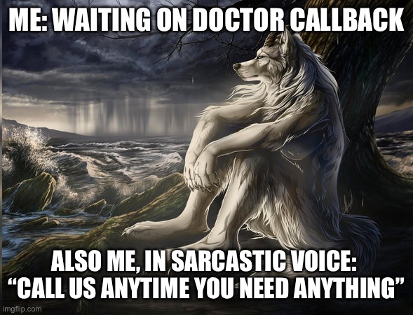 Waiting Wolf | ME: WAITING ON DOCTOR CALLBACK; ALSO ME, IN SARCASTIC VOICE: 
“CALL US ANYTIME YOU NEED ANYTHING” | image tagged in melancholic werewolf,doctors,phone call,doctor,waiting | made w/ Imgflip meme maker