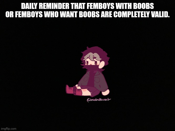 DAILY REMINDER THAT FEMBOYS WITH BOOBS OR FEMBOYS WHO WANT BOOBS ARE COMPLETELY VALID. | made w/ Imgflip meme maker